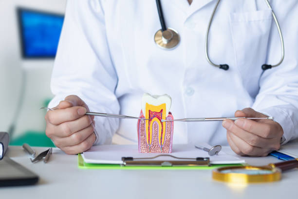 Best 24-Hour Emergency Dental Care in Rushville, IN